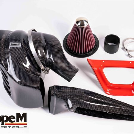 GruppeM Carbon Fiber Ram Air Intake System for 2018-19 Audi RS4 [B9] FRI-0227