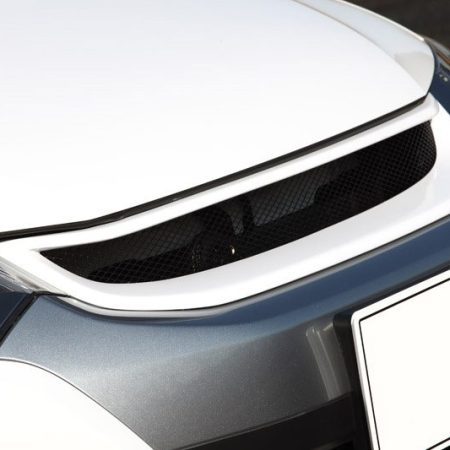 Tommy Kaira Wet Carbon Grill (raw) for Honda Insight [ZE2] 1H001C10