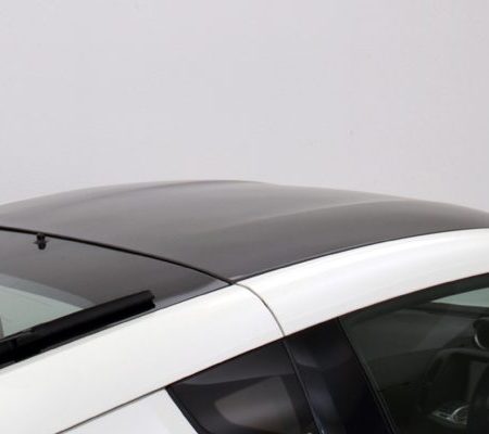 Zenith Line Carbon Roof Panel