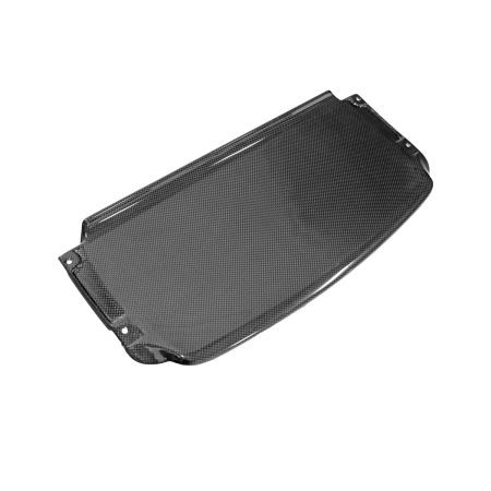 Exotic Car Gear Carbon Center Front Lip for Ferrari F430 [ECG-FER-430FSLR]