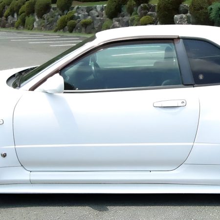 Benetec Carbon Doors for R34 Nissan Skyline GT-R