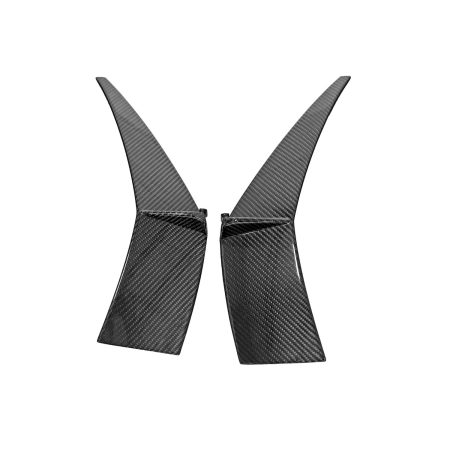 Exotic Car Gear Carbon Side Rear Quarter Trim Wings for LP740-4 Lamborghini Aventador S [ECG-LAM-AV4RT]