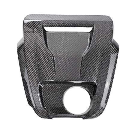 Exotic Car Gear Carbon Oil Tank Cover for 4S Audi R8 (facelift / coupe) [ECG-AUD-V10OTC]