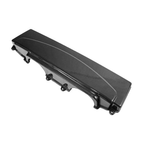 Exotic Car Gear Carbon Air Box Top for Type-42 Audi R8 (pre-facelift) [ECG-AUD-R8ABC]