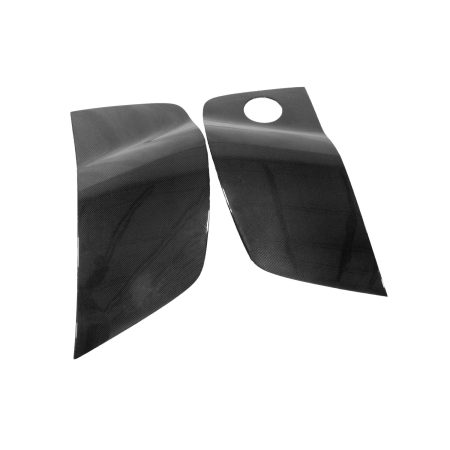 Exotic Car Gear Carbon Side Panel Blades for Type-42 Audi R8 (pre-facelift) [ECG-AUD-R8SP8]