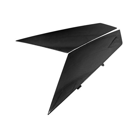 Exotic Car Gear Carbon SV-Style Large Engine Air Intake Panels for LP700-4 Lamborghini Aventador