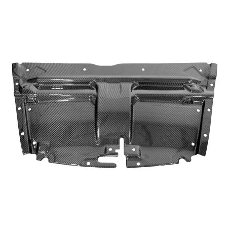 Exotic Car Gear Carbon Slam Panel for Aston Martin DB9 / DBS / Rapide / Virage [ECG-AM-SP-DB9]