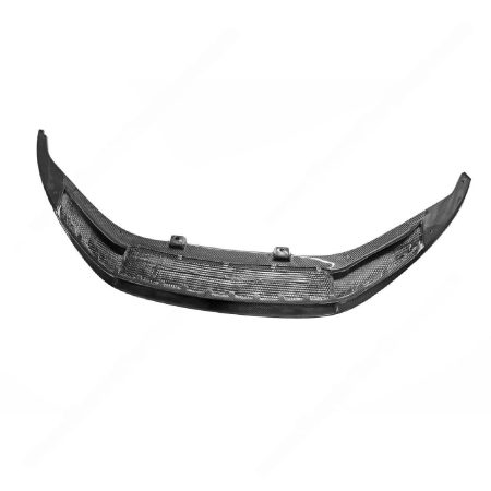 Exotic Car Gear Carbon Front Lip for 4S Audi R8 [ECG-AUD-V10FL]