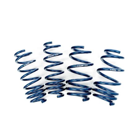 Tesla Model Y Dual Rate Linear Lowering Spring Set