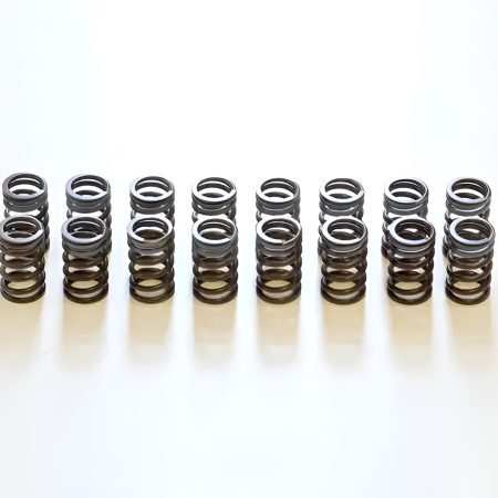 HKS STEP2 Valve Spring Upgrade for R32 / R33 / R34 Nissan Skyline GT-R [22001-AN001]